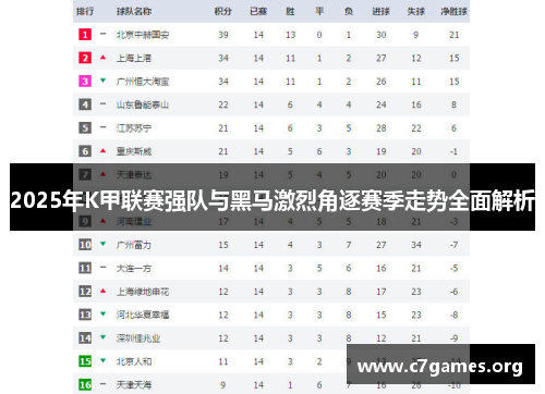 2025年K甲联赛强队与黑马激烈角逐赛季走势全面解析